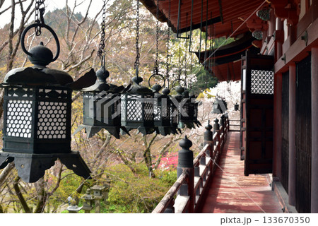 談山神社の拝殿から見える桜 談山神社の拝殿から見える桜 133670350