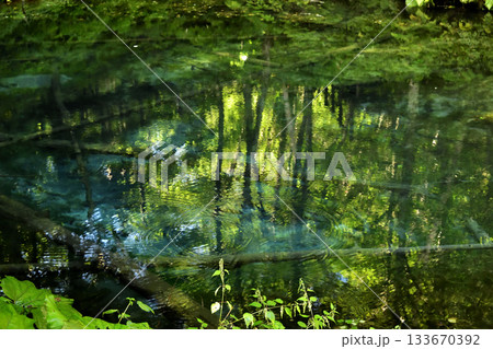 雨上がりの神の子池 雨上がりの神の子池 133670392