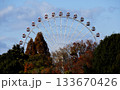 冬の青い空と大観覧車 133670426