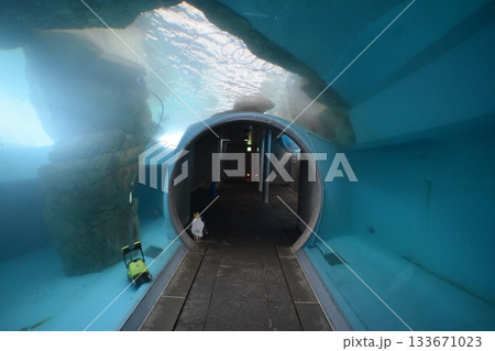 兵庫 水族館 城崎マリンワールド 兵庫 水族館 城崎マリンワールド 133671023