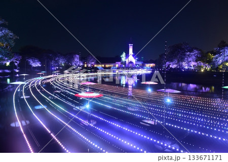 三重　三重県　イルミネーション　イルミ　なばなの里 133671171