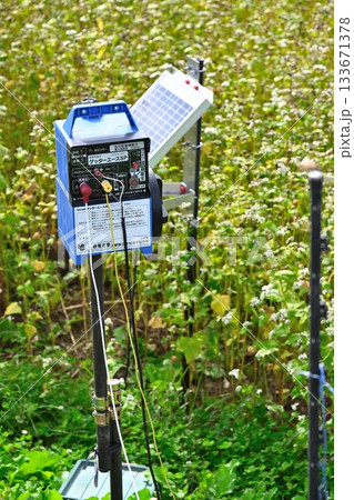 動物除け電気柵の装置 動物除け電気柵の装置 133671378