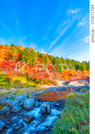 香嵐渓の紅葉 133671384