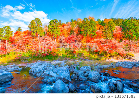 香嵐渓の紅葉 香嵐渓の紅葉 133671385