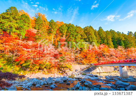 香嵐渓の紅葉 133671387