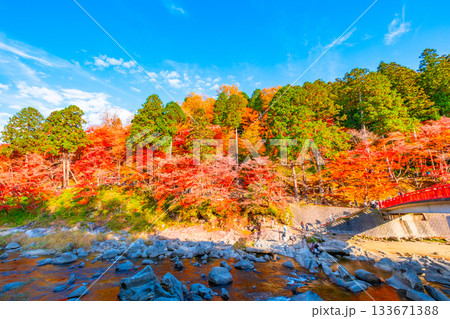 香嵐渓の紅葉 香嵐渓の紅葉 133671388