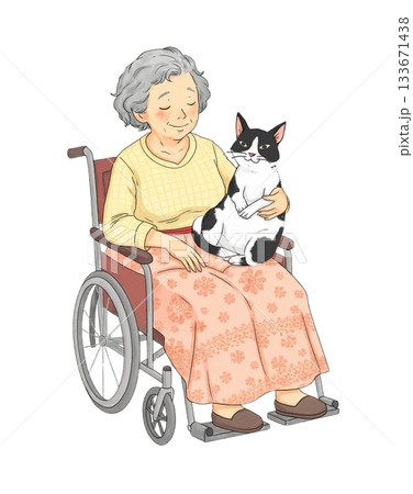 おばあさんが車椅子に座り、膝の上で丸くなる白黒猫を優しくなでているシーン。背景は透明。 133671438