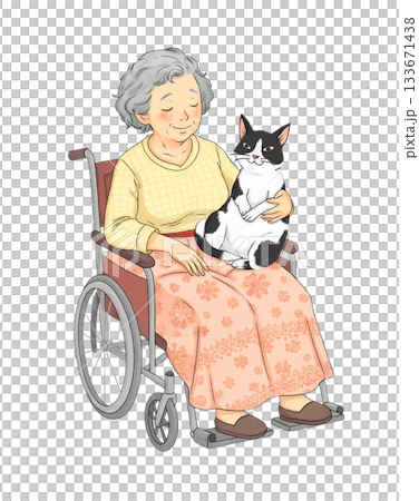 おばあさんが車椅子に座り、膝の上で丸くなる白黒猫を優しくなでているシーン。背景は透明。 133671438