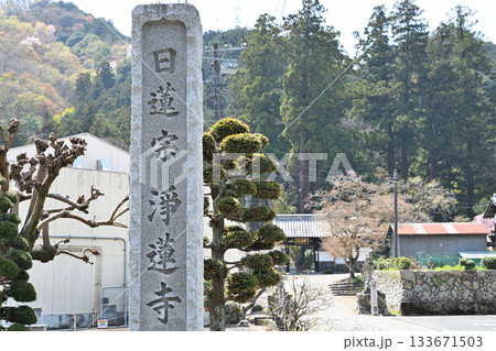 浄蓮寺　東秩父村 133671503