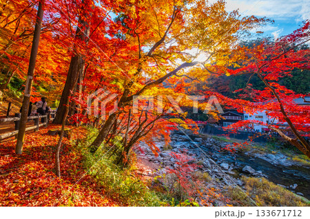 香嵐渓の紅葉 香嵐渓の紅葉 133671712