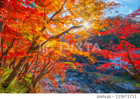 香嵐渓の紅葉 133671713