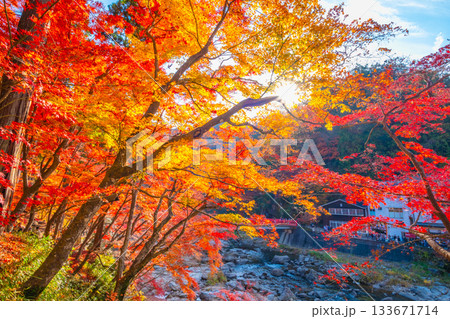 香嵐渓の紅葉 133671714