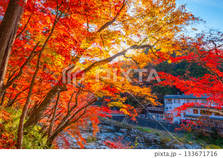 香嵐渓の紅葉 133671716