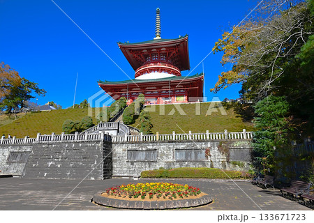 成田山新勝寺の中にある平和の大塔 成田山新勝寺の中にある平和の大塔 133671723