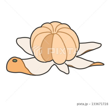 剥いたみかんのイラスト 133671728