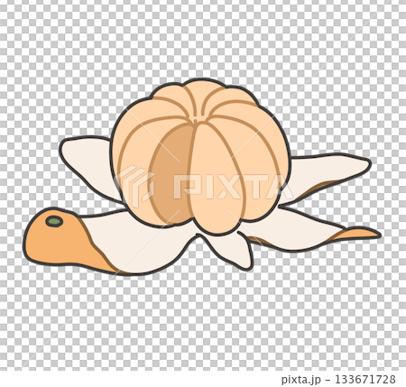 剥いたみかんのイラスト 133671728
