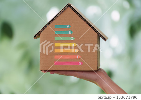 Sustainability. Eco-friendly house model with energy efficiency labels. Sustainability. Eco-friendly house model with energy efficiency labels. 133671790