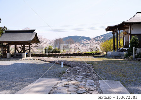 浄蓮寺　桜の季節　境内　東秩父村 133672383