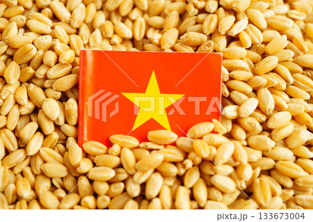 Vietnam flag on grain wheat, trade export and economy concept. Vietnam flag on grain wheat, trade export and economy concept. 133673004