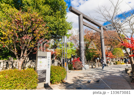 松本市　縄手通りと四柱神社　秋景 133673081