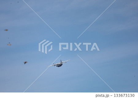 空を飛ぶ飛行機と鳥たち(東京・調布飛行場上空) 空を飛ぶ飛行機と鳥たち(東京・調布飛行場上空) 133673130
