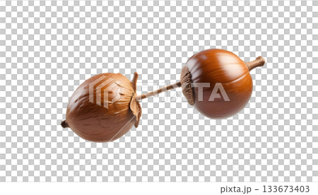 An acorn on a transparent background, highlighting the essence of late autumn outdoors An acorn on a transparent background, highlighting the essence of late autumn outdoors 133673403