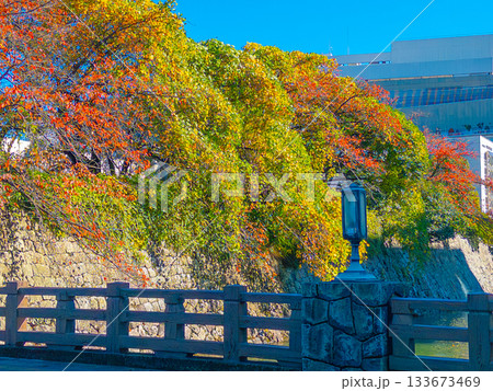 城のお堀と石垣を彩る桜の紅葉 Autumn leaves around castle moat 城のお堀と石垣を彩る桜の紅葉 Autumn leaves around castle moat 133673469