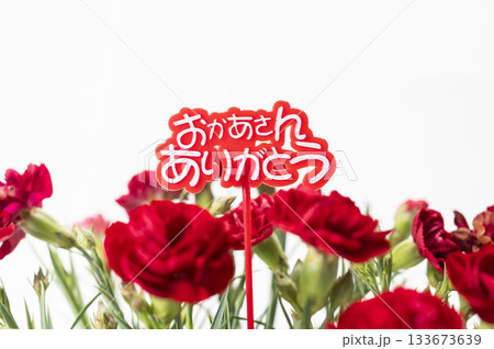 おかあさんありがとう　赤いカーネーション 133673639