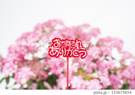 おかあさんありがとう　ピンク色のアジサイ 133673654
