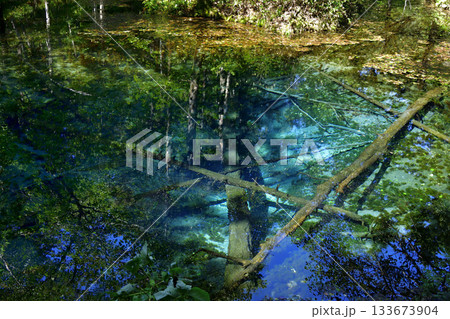 夏の終わりの神の子池 夏の終わりの神の子池 133673904