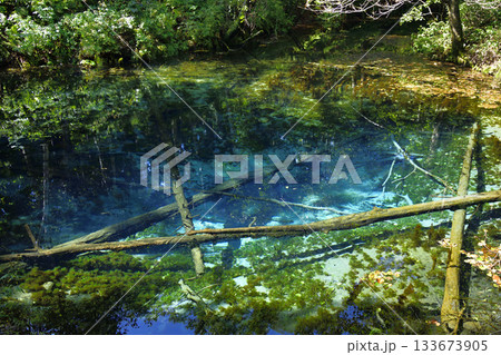 夏の終わりの神の子池 夏の終わりの神の子池 133673905