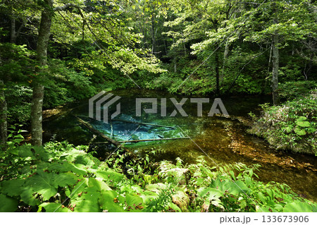 夏の終わりの神の子池 夏の終わりの神の子池 133673906