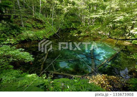 夏の終わりの神の子池 133673908