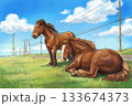 くつろぐ馬の見える風景 133674373