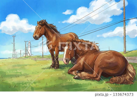 くつろぐ馬の見える風景 133674373