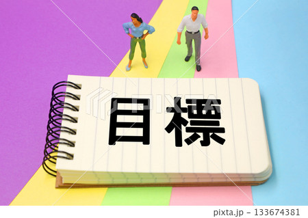 目標の文字素材 目標の文字素材 133674381