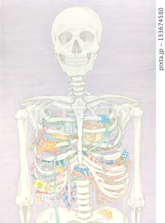 骨格標本 133674580