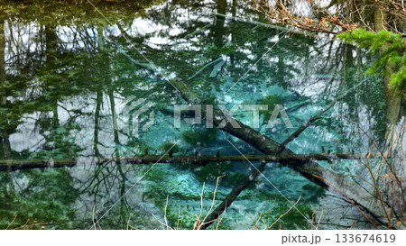 晩秋の神の子池 133674619