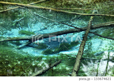 晩秋の神の子池 133674621