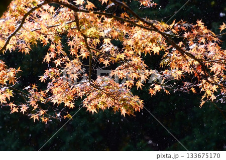 比叡山 比叡山 133675170