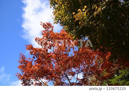 比叡山 比叡山 133675220