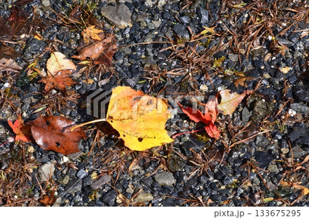 比叡山 比叡山 133675295