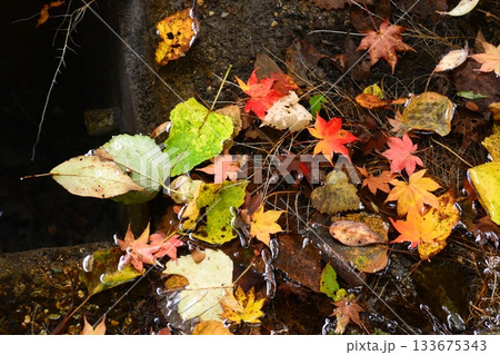比叡山 比叡山 133675343