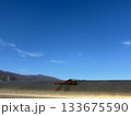 青空の下で羽を休める赤とんぼ（11月 長野県飯山市 戸狩野沢温泉） 133675590