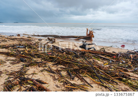 Piles of garbage and waste on beach by sea after a storm in cloudy rainy weather. Environmental disaster on waterfront of Nha Trang resort town in Vietnam Piles of garbage and waste on beach by sea after a storm in cloudy rainy weather. Environmental disaster on waterfront of Nha Trang resort town in Vietnam 133675867