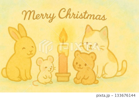 キャンドルの周りに動物が集まる絵本風 133676144