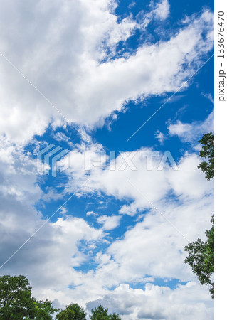 晩夏の空　午後の澄んだ青空と雲25 133676470