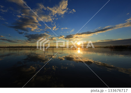 水面に映る朝日 133676717