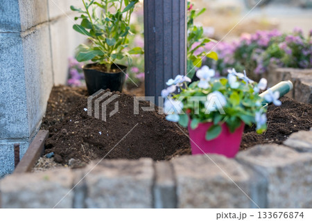 ポスト下の小さな花壇に花苗を植える 133676874