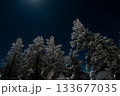 長野県　志賀高原　横手山山頂の星が輝く夜空 133677035
